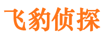 江汉外遇出轨调查取证